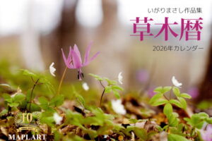 草木歴