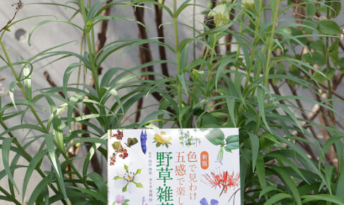 「新版　色で見分け五感で楽しむ野草・雑草図鑑」