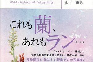 福島県の野生ラン