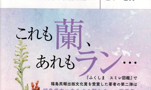 福島県の野生ラン