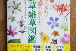 新版　色で見分け五感で楽しむ雑草・野草図鑑