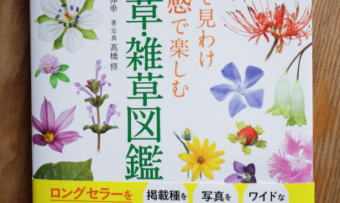 新版　色で見分け五感で楽しむ雑草・野草図鑑